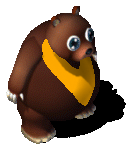 Pet Bear