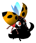 Pet Beetle