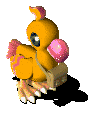 Pet Bird