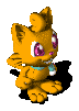 Pet Cat